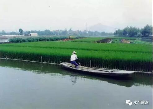 水产养殖TVT体育的环保升级路径（二）(图2)