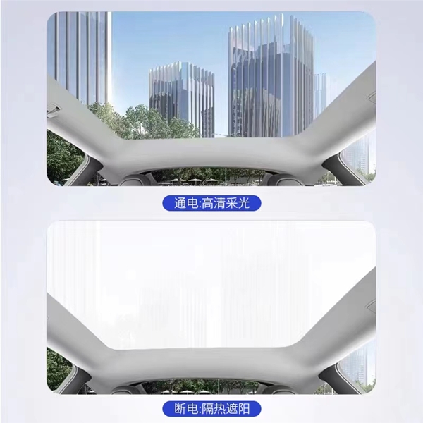 鸿羿新能源TVT体育：专注新能源汽车专业打造智能天幕(图2)