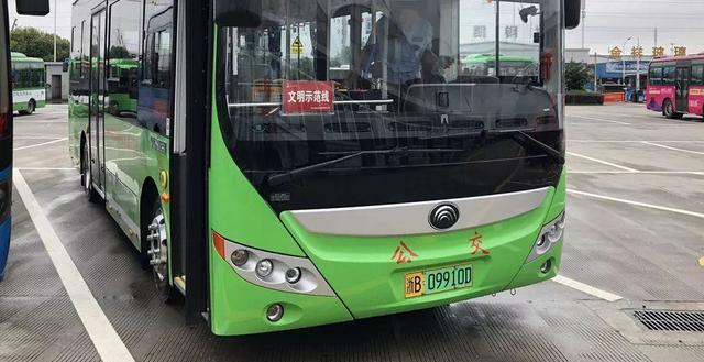 TVT体育新能源专用绿牌D与F区别是什么老司带你了解绿牌知识(图4)