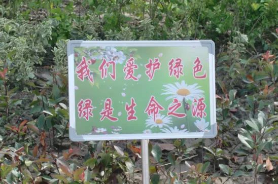 环境保护的概念和内容TVT体育(图3)