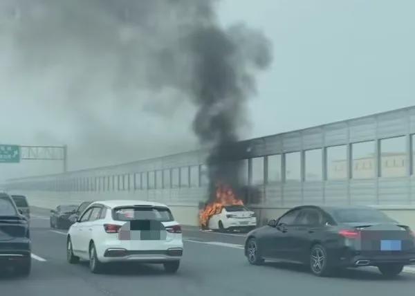 事发上海2天2起！新能源车当街起火烧毁TVT体育(图3)