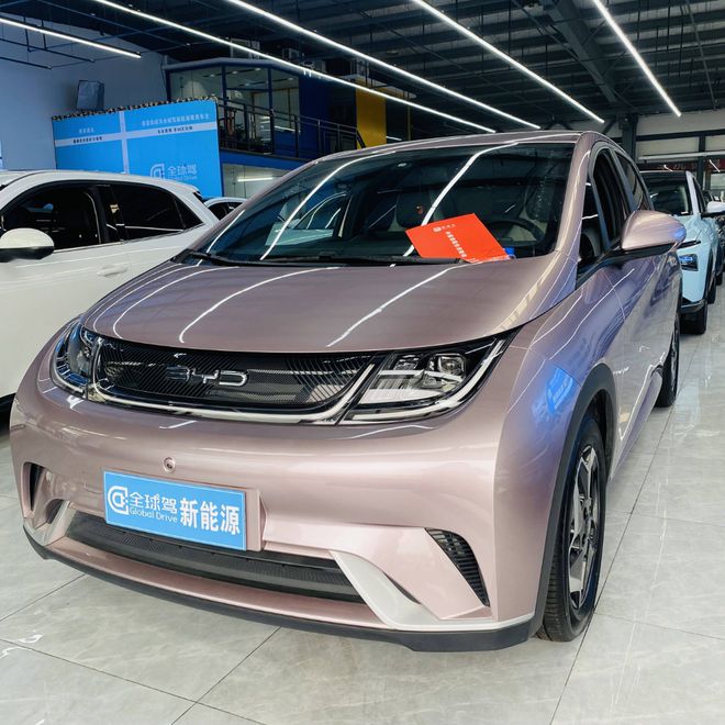 全球驾：2023年度中国新能源爆款汽车排行你的车有上榜吗TVT体育(图8)