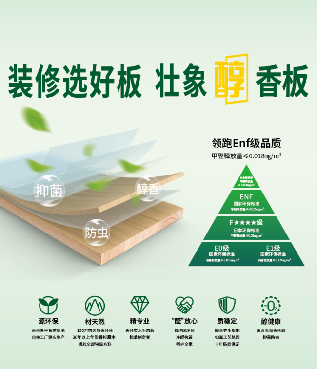 TVT体育高光加冕｜壮象板材斩获2024中品榜“环保板材十大品牌”(图6)
